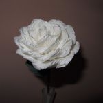 Róża biała ze srebrnym brokatem - 