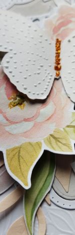 Kartka urodzinowa z motylem KOM-01