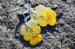 Zatopek Bratek kwiat I