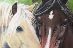Portret koni