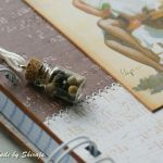 Przepiśnik- pin up girl  - grilujemy - 