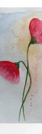 Maki 5-akwarela formatu 24/18 cm 