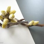 Zniewolone tulipany - 