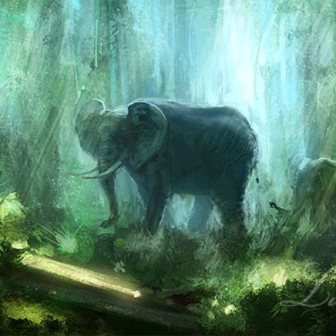 Obraz Słoń, Dżungla - płótno - malowany