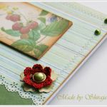 Przepiśnik- owocowa łąka - 