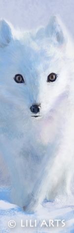 Obraz Biały lis - skandynawski, płótno