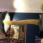 Lampa leśna Grzybek - Od dołu zaświecone