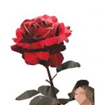 Plakat "Róża" - 