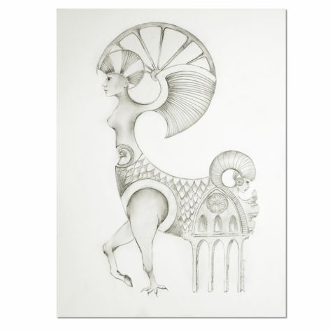 Centaurea, rysunek, grafika, oryginalny obraz